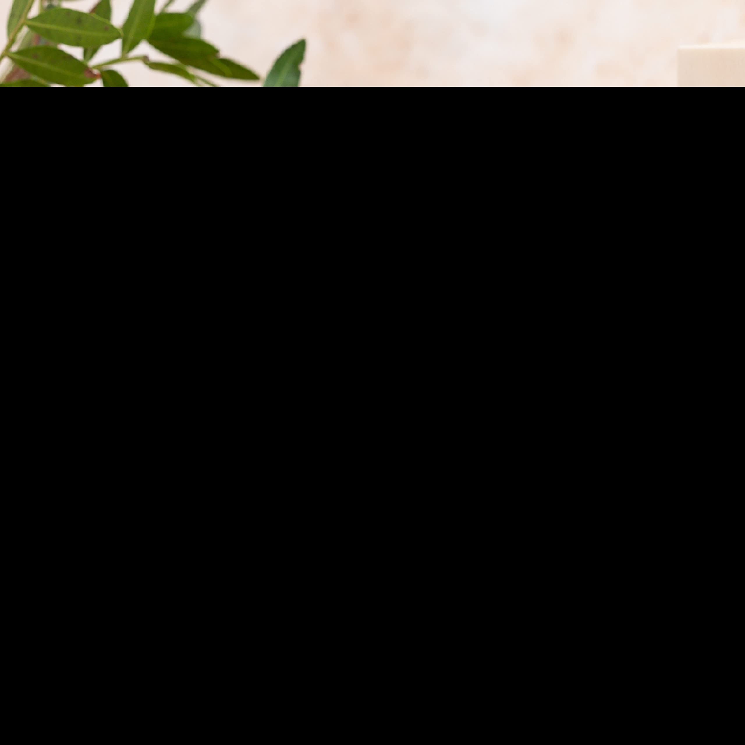 Nature's Sunshine Ashwagandha jar label highlights pure quality and herbal heritage.