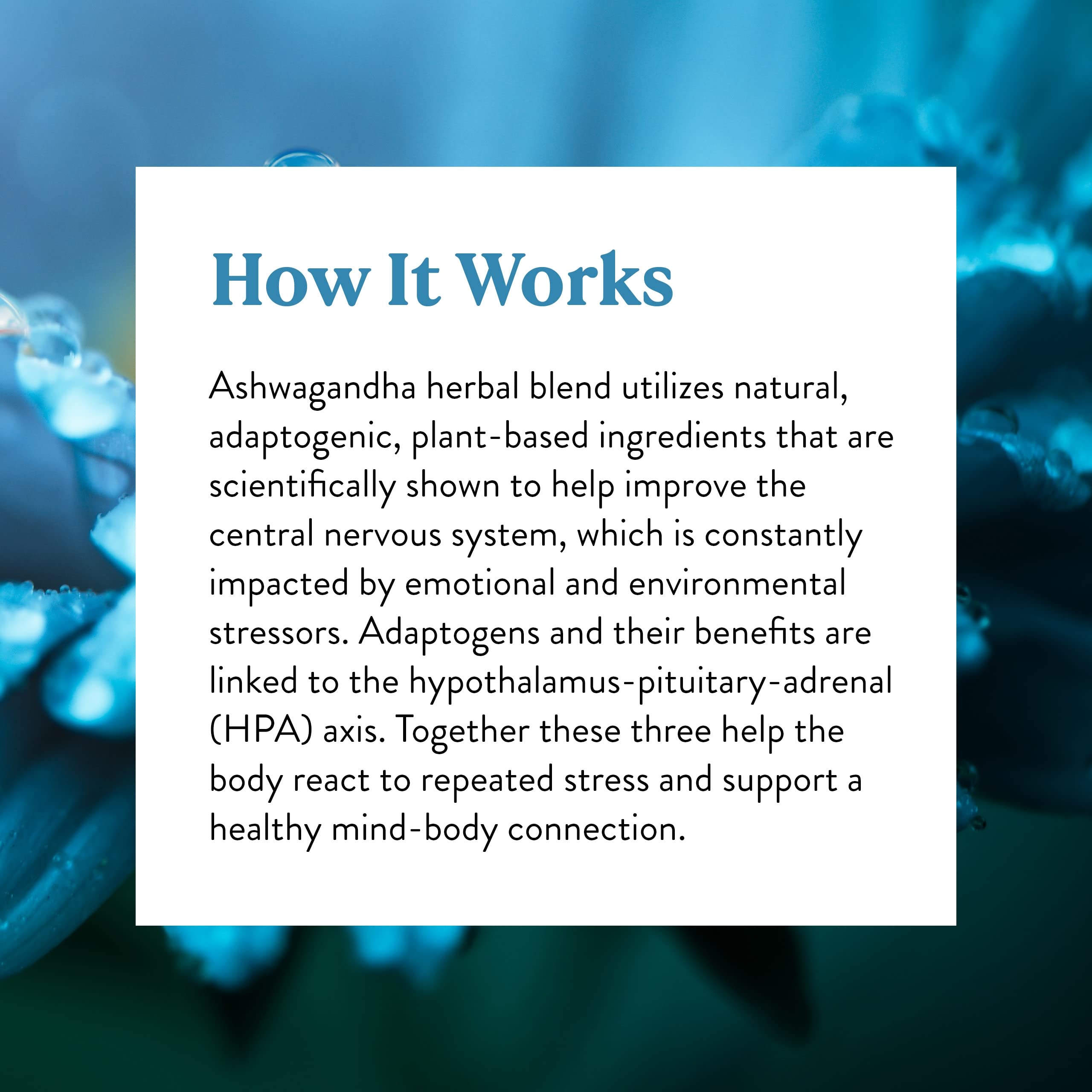 Nature's Sunshine Ashwagandha quality seal emphasizes long-standing herb expertise.