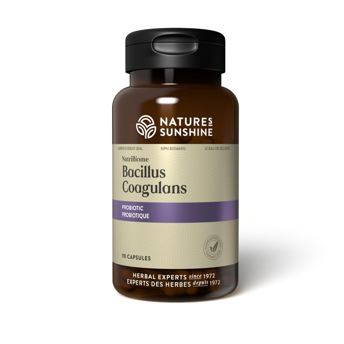 Nature's Sunshine Bacillus Coagulans NutriBiome bottle shows probiotic capsules for daily digestive balance