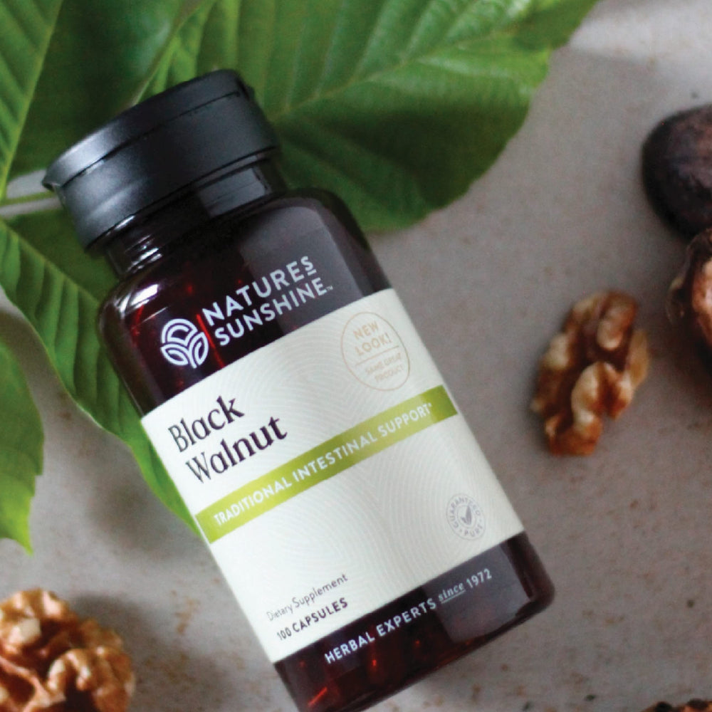 Close-up of black walnut capsules for daily digestive support.