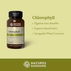 Close-up of chlorophyll softgels highlighting easy-to-swallow daily use.