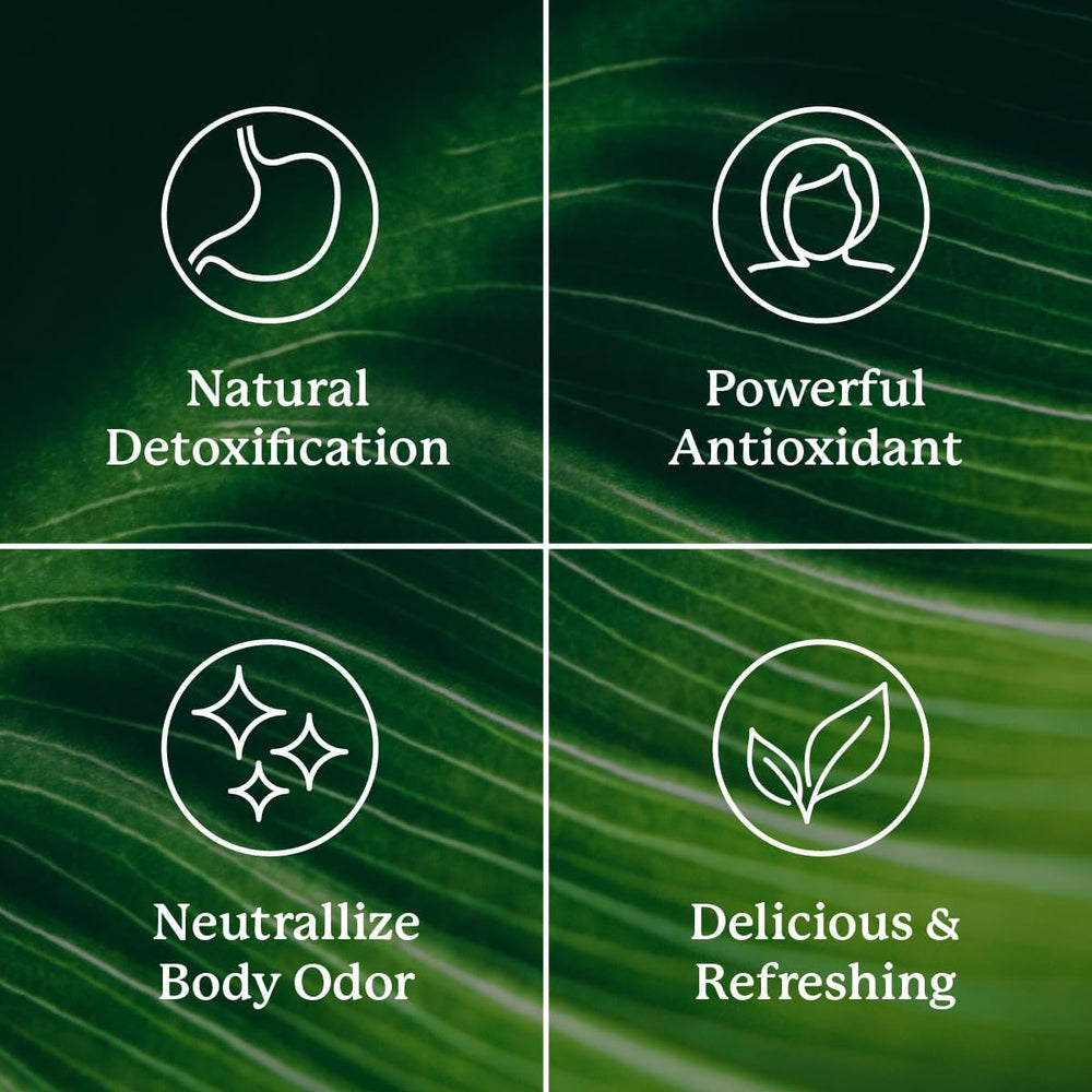 Chlorophyll stick antioxidants supporting inner vitality