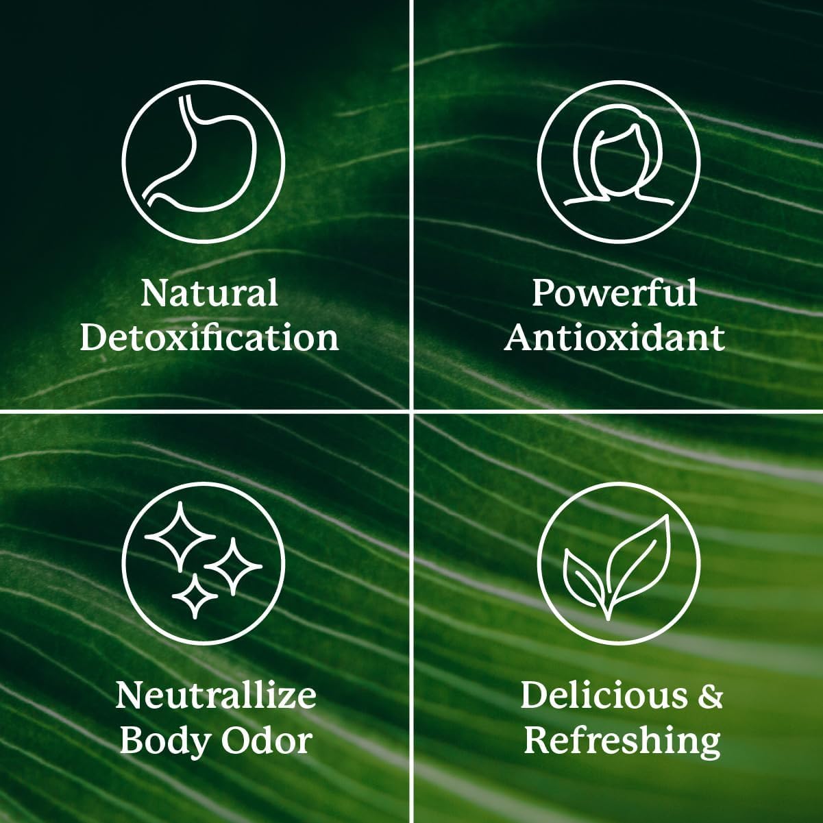 Close-up of Nature's Sunshine chlorophyll stick pack label with eco-friendly design.