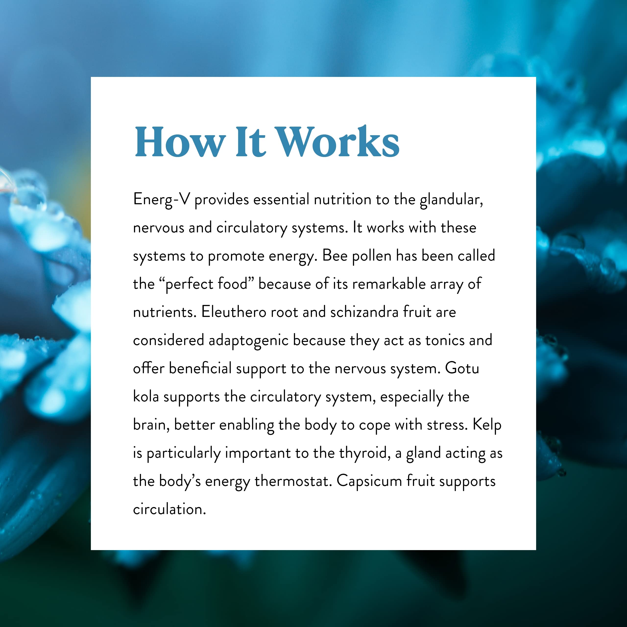 Nature's Sunshine Energ-V ingredients list with adaptogenic herbs and minerals