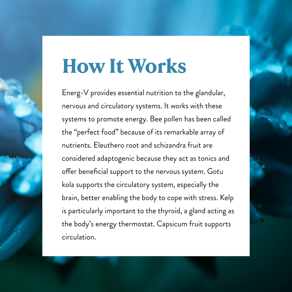 Nature's Sunshine Energ-V ingredients list with adaptogenic herbs and minerals