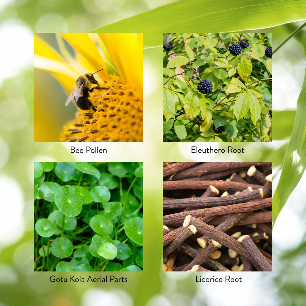 Nature's Sunshine Energ-V packaging box highlighting product details