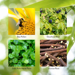 Nature's Sunshine Energ-V packaging box highlighting product details
