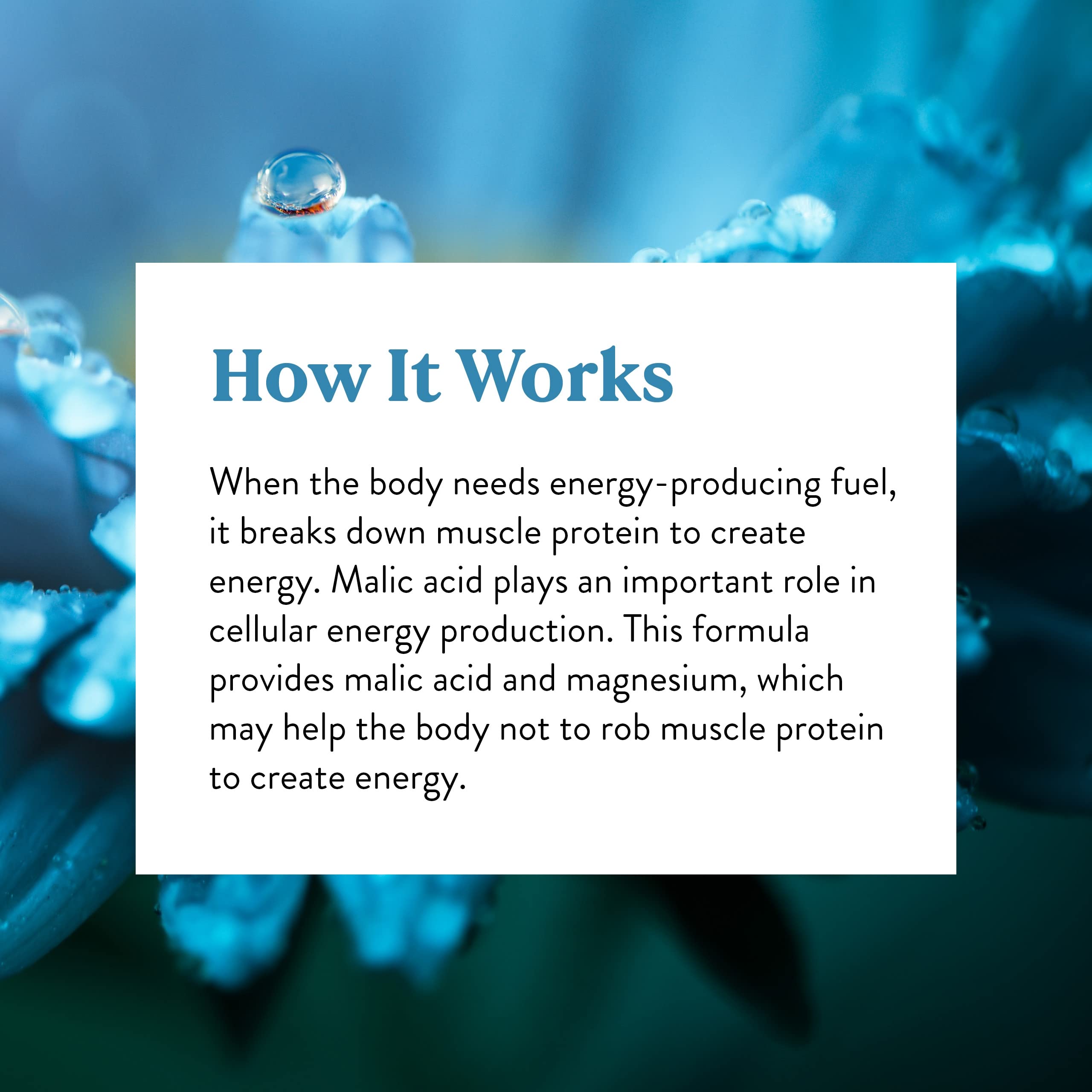 Nature's Sunshine Fibralgia bottle spine view emphasizes durable packaging