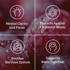 Nature's Sunshine Focus Attention label details emphasize key nutrients for brain activity