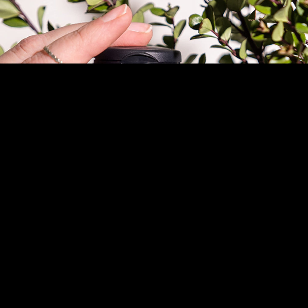 Nature's Sunshine GABA Plus capsules showing convenient dosing