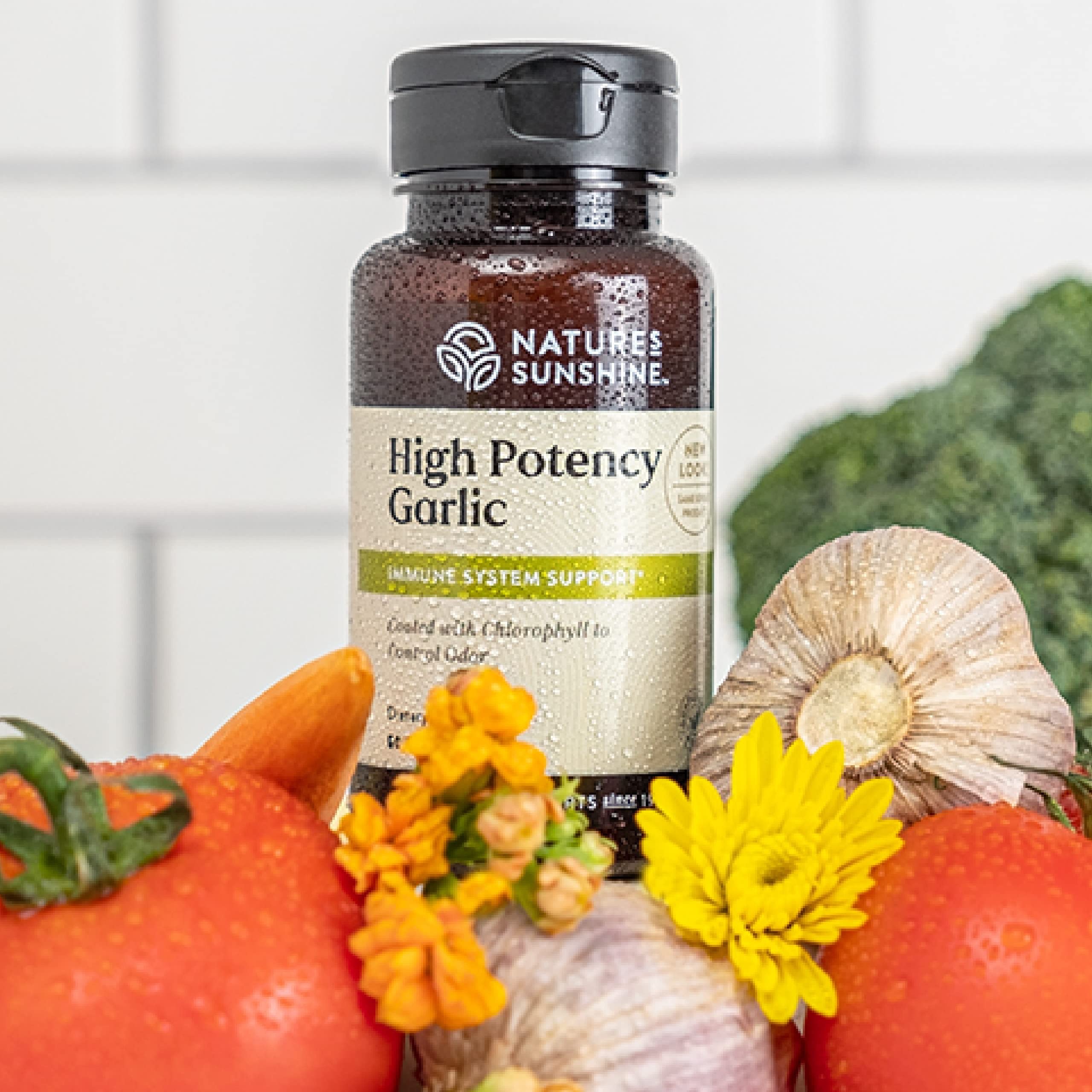 Nature's Sunshine garlic tablets arranged for daily immune support and convenience.