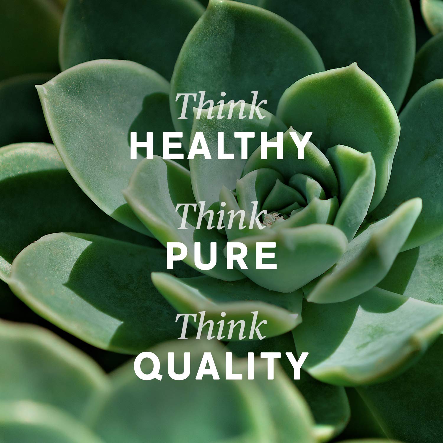 Nature's Sunshine Kidney Activator natural ingredients ensure clean label and herbal quality.