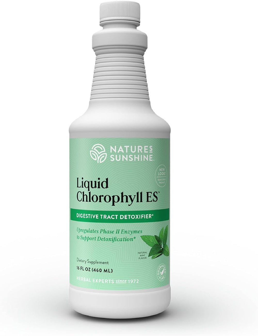 Nature's Sunshine Liquid Chlorophyll bottle front view with extra strength formula for detox support.