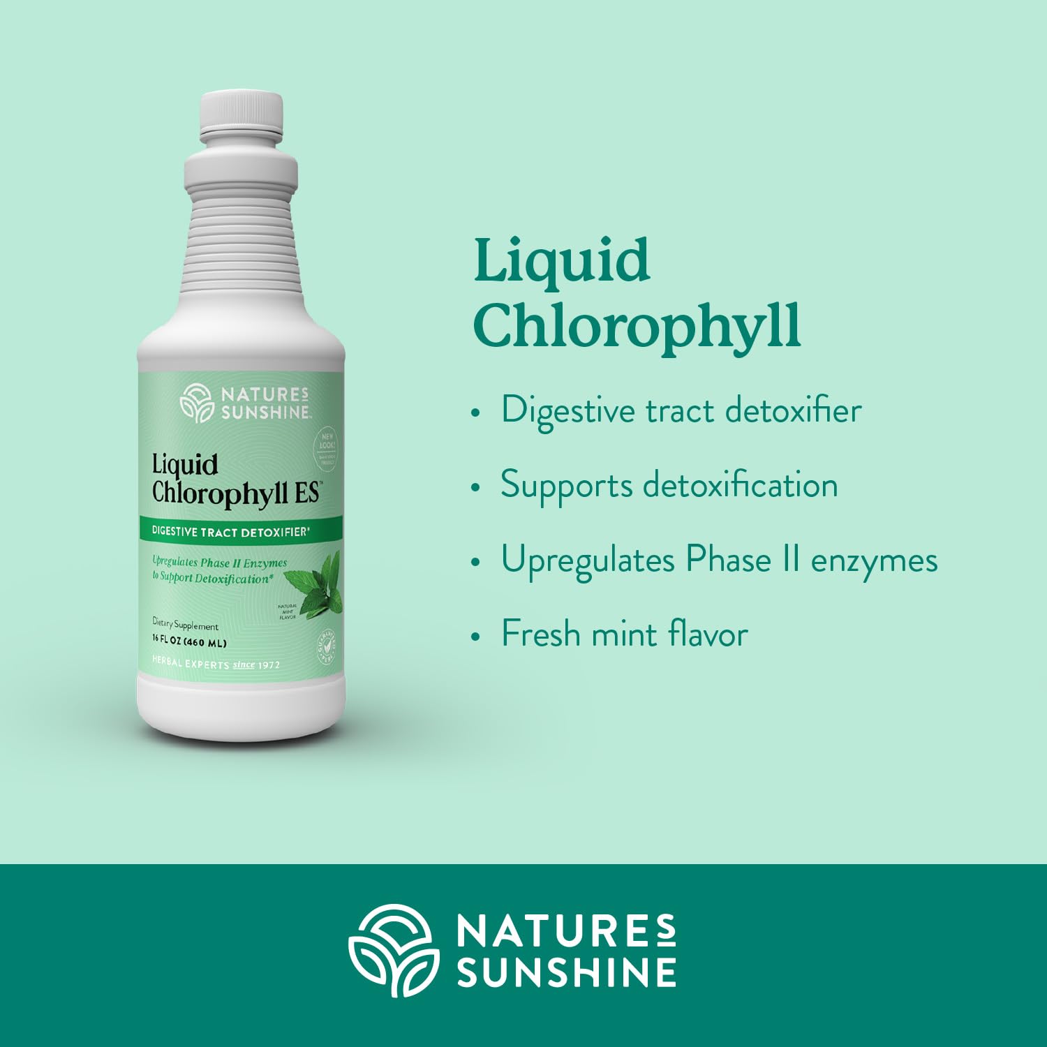 Nature's Sunshine Liquid Chlorophyll label close-up showing 16 fl oz and herbal heritage.