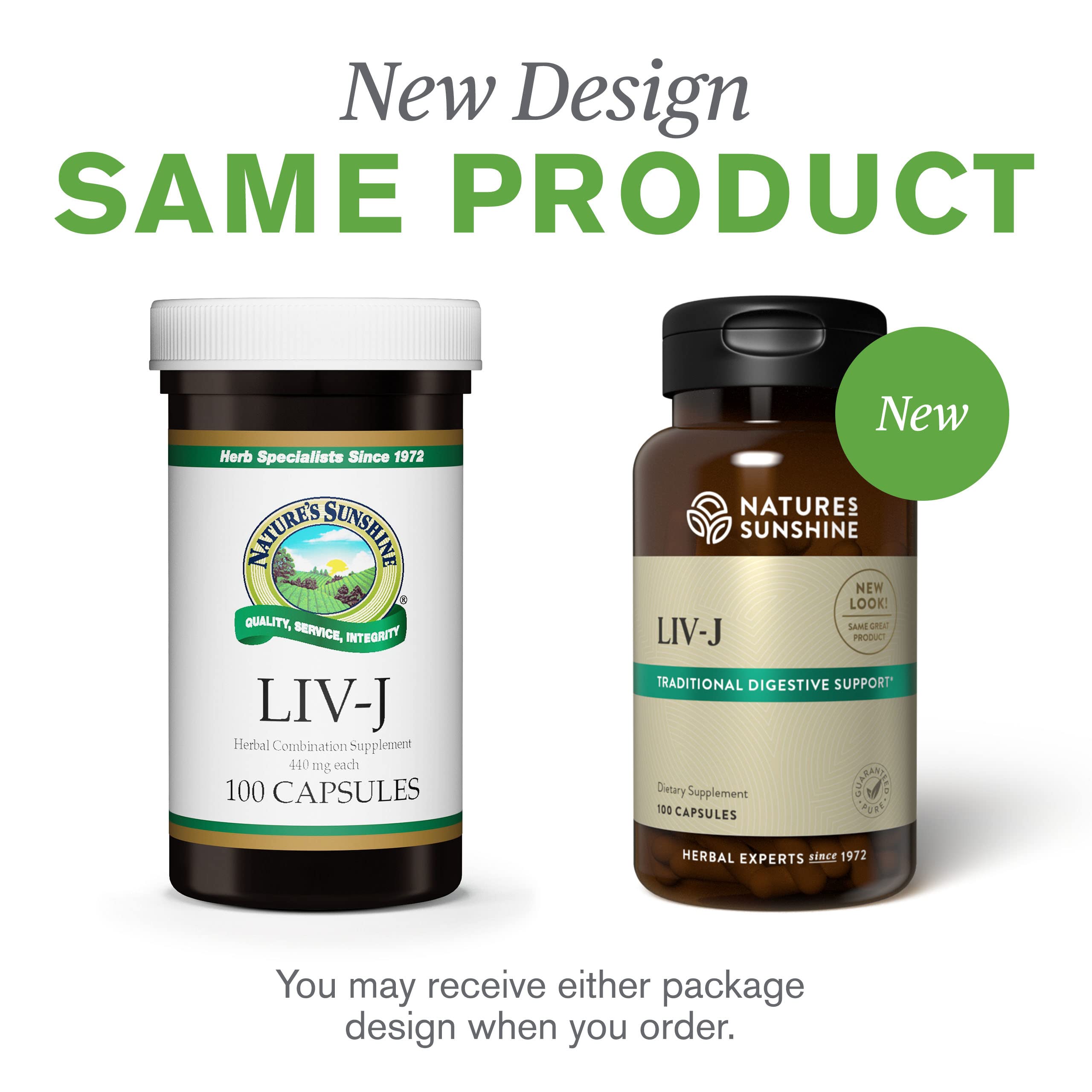 Graphic illustrating LIV-J digestive system support potential.
