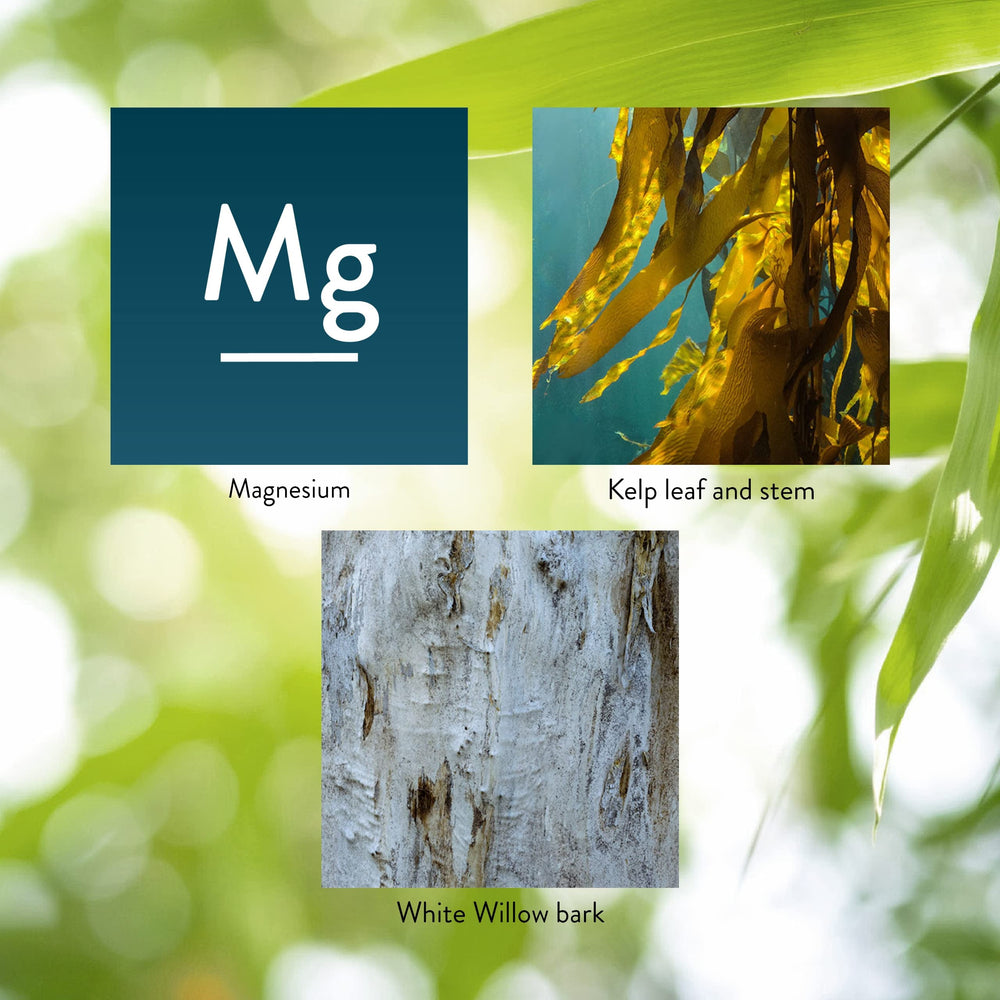 Nature's Sunshine Magnesium tablets in hand, easy daily dose for energy support