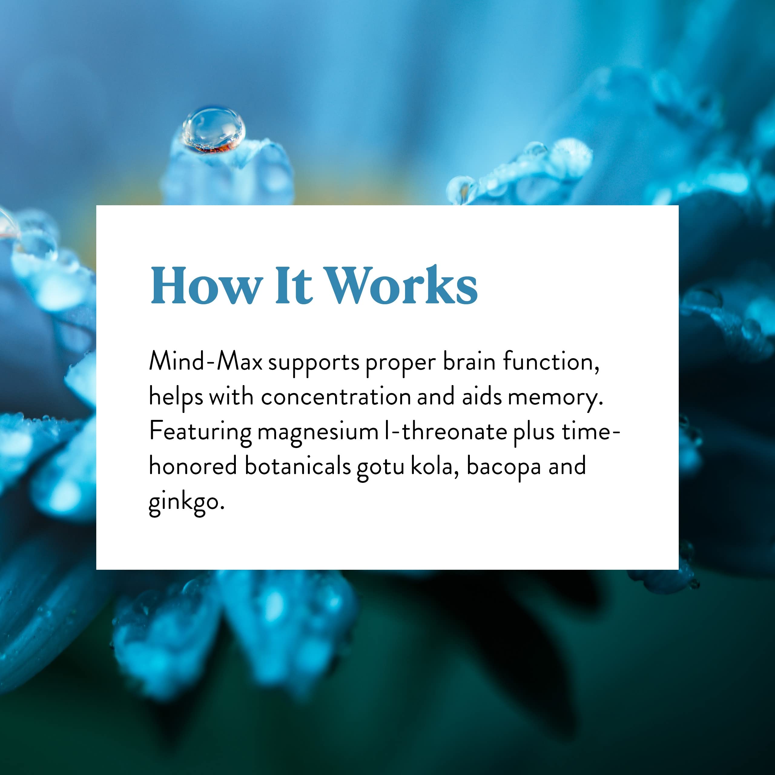 Bacopa and Gotu Kola components shown in Mind-Max blend for memory support.