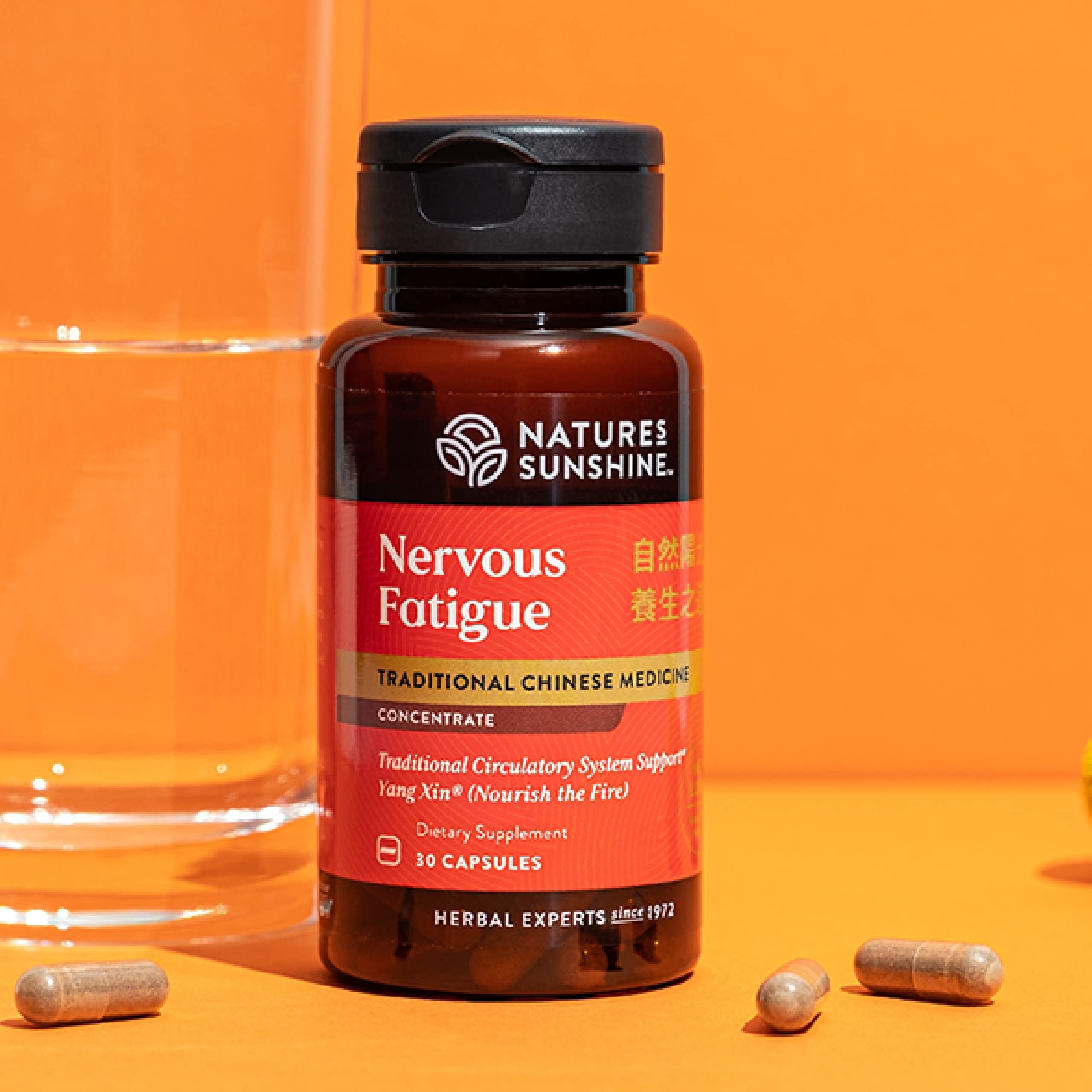 Nature's Sunshine Nervous Fatigue TCM Concentrate capsules ready for daily use.