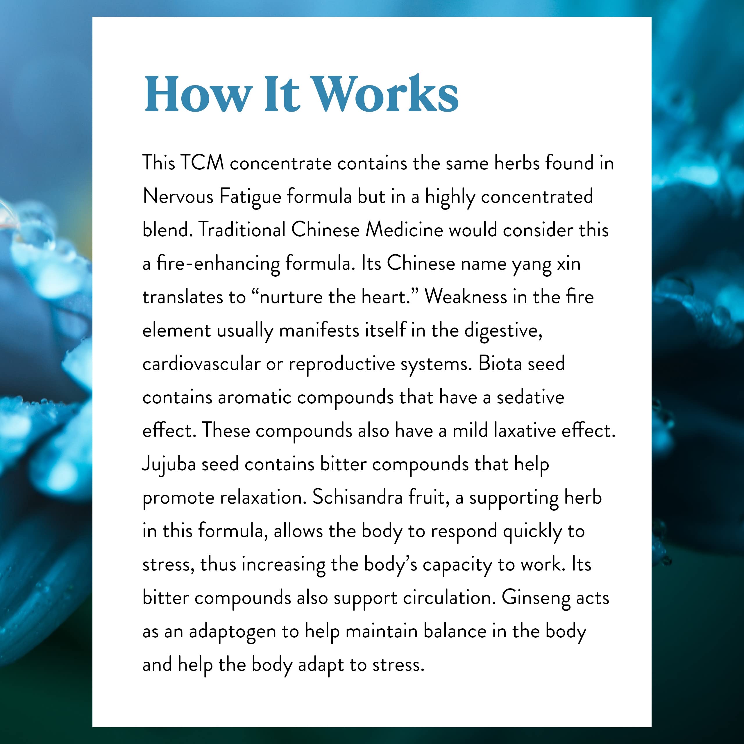 Nature's Sunshine Nervous Fatigue TCM Concentrate jujuba seeds close-up.