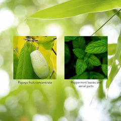 Fresh peppermint leaves beside Nature's Sunshine Papaya Mint highlight breath freshness.