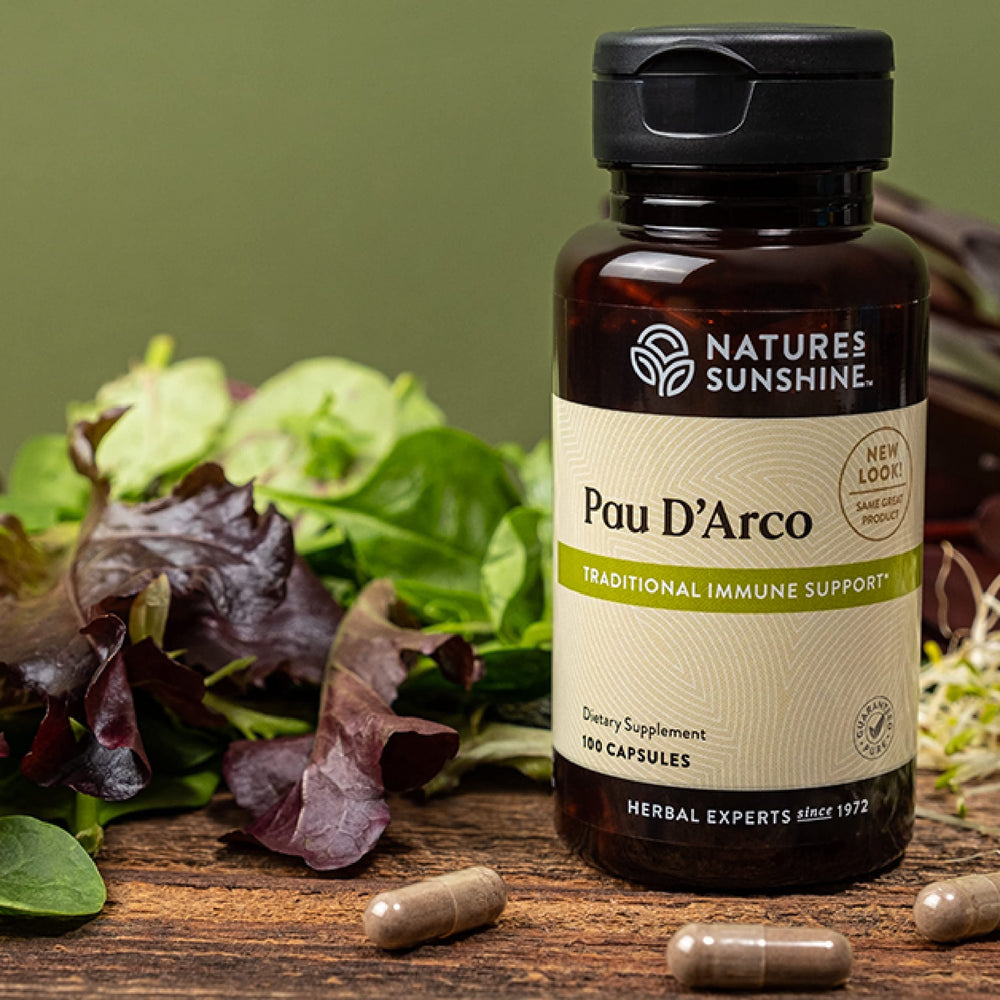 Nature's Sunshine Pau D'Arco capsules close-up – convenient antioxidant intake.