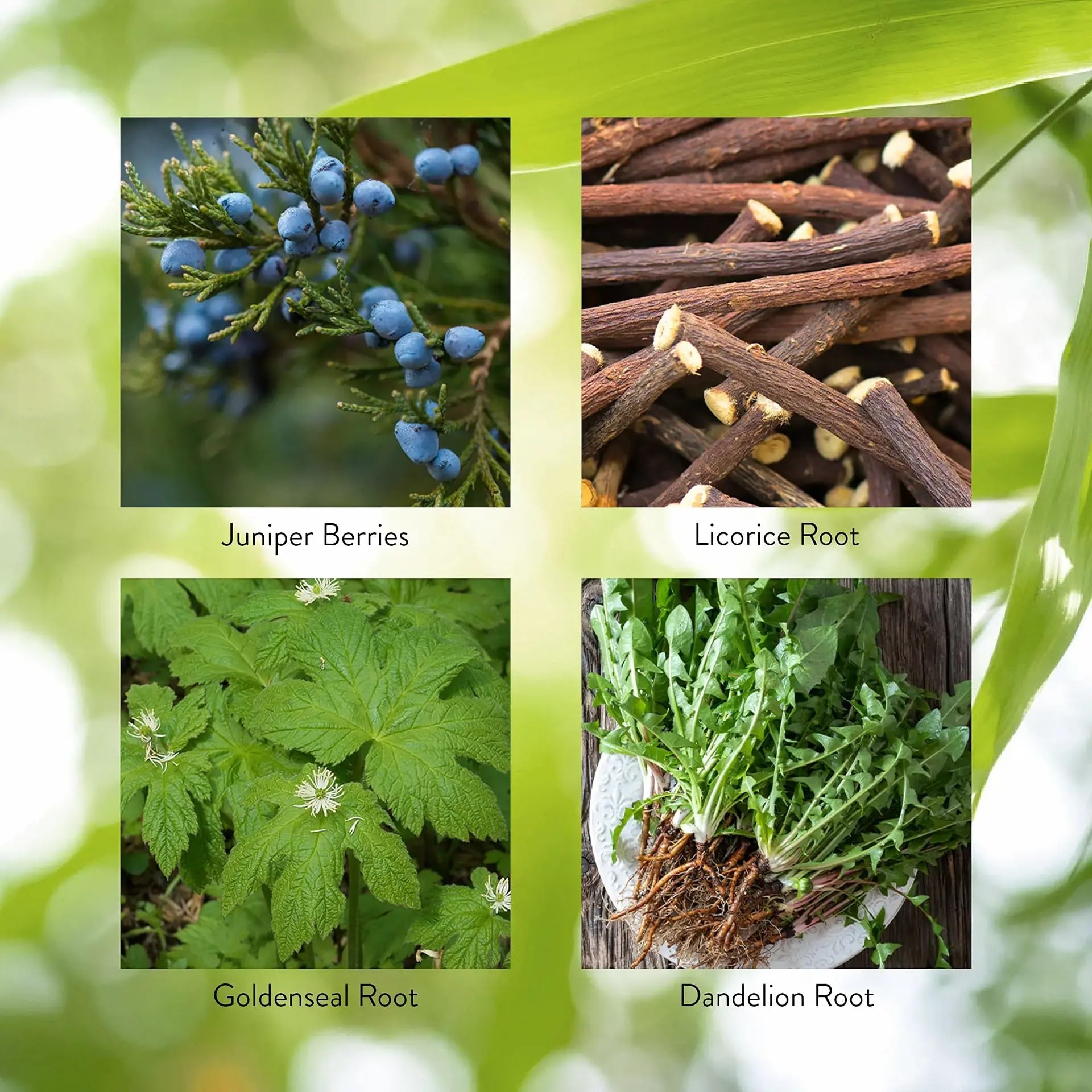 Pro-Pancreas ingredient blend featuring juniper, licorice, and herbs