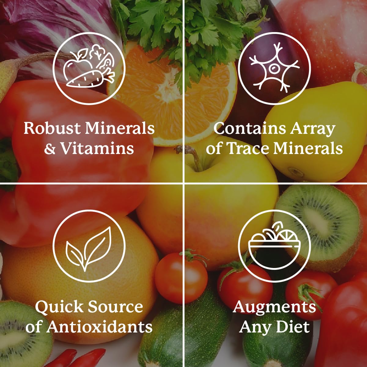 Nature's Sunshine Super Supplemental tablet-closeup emphasizing essential amino acids
