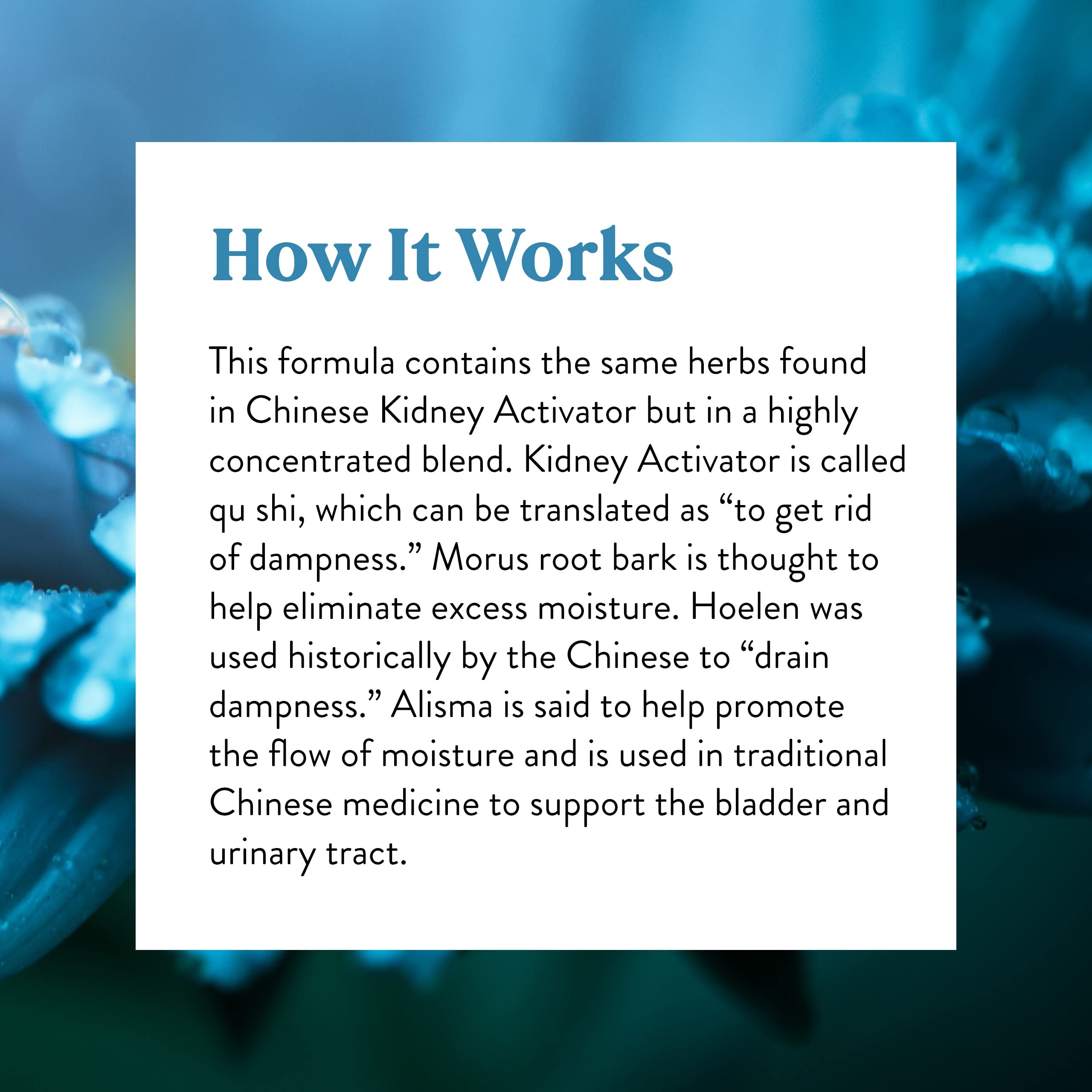 Nature's Sunshine TCM formula qu shi explains the dampness removal concept.