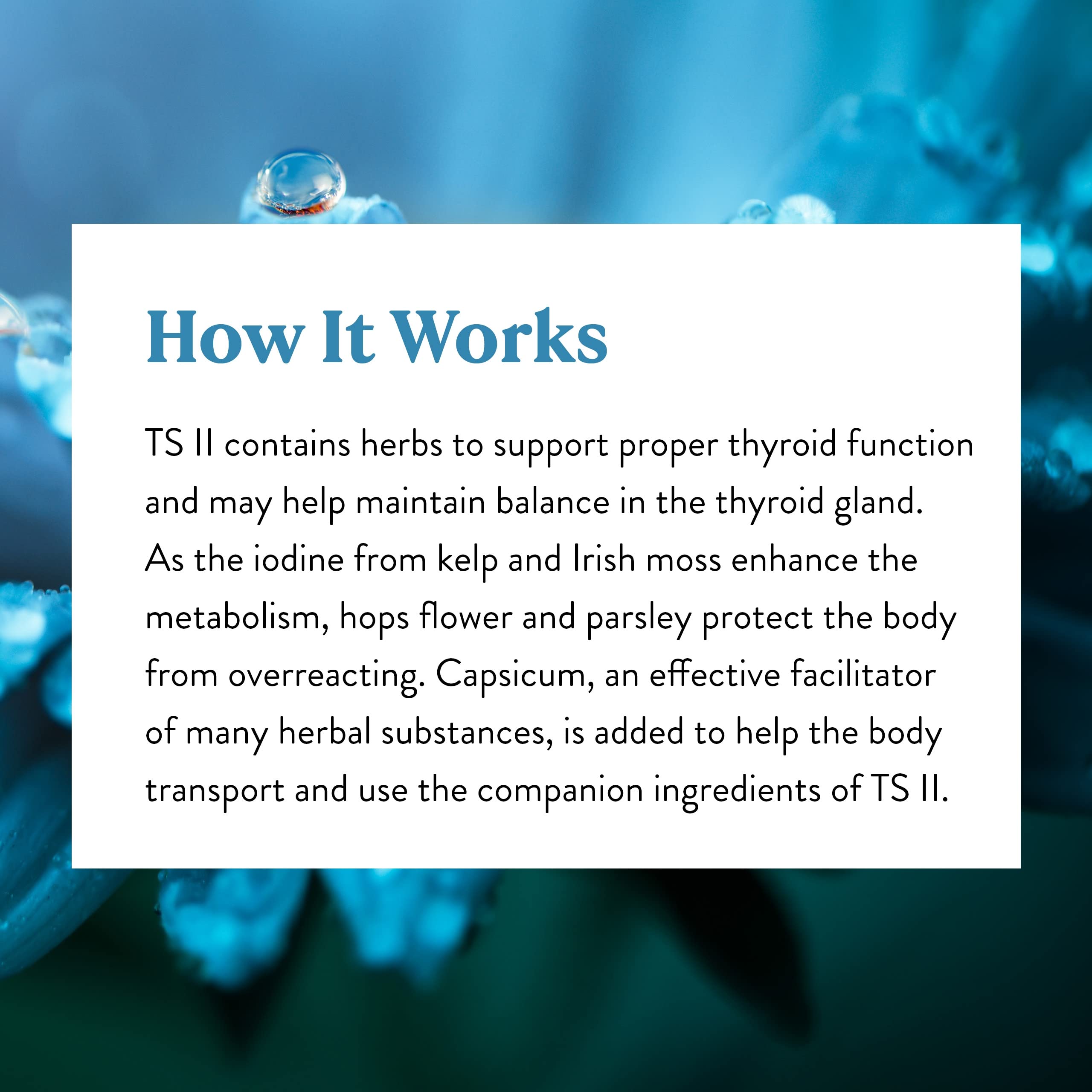 Bottled capsules stack suggests easy daily dosing.