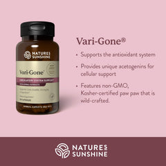 Key herbal ingredients display for natural vein health support