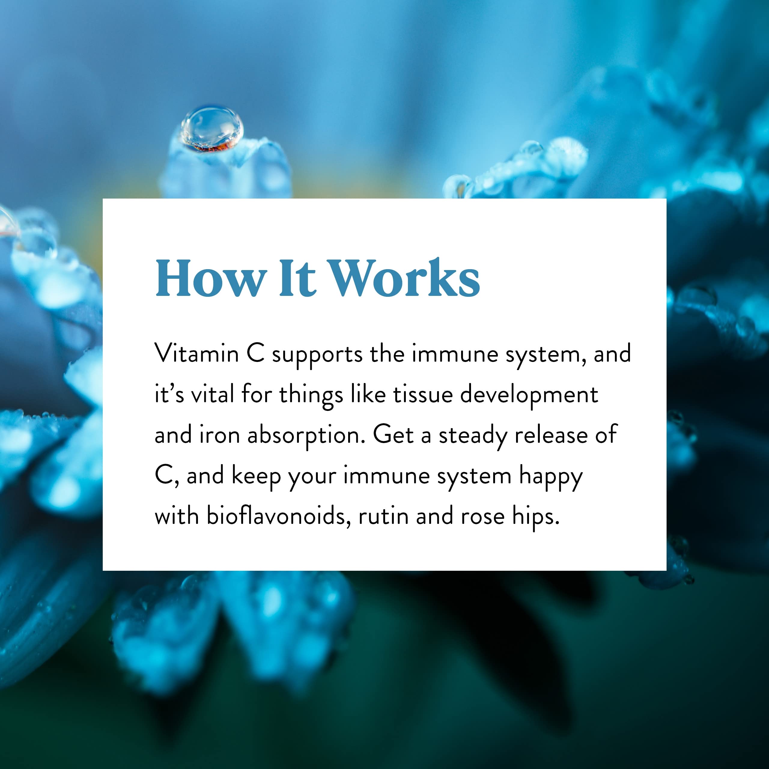 Nature's Sunshine Vitamin C Time Release label close-up and ingredients