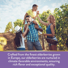 Nature's Truth vegan non-GMO gluten-free formula for diverse dietary needs.