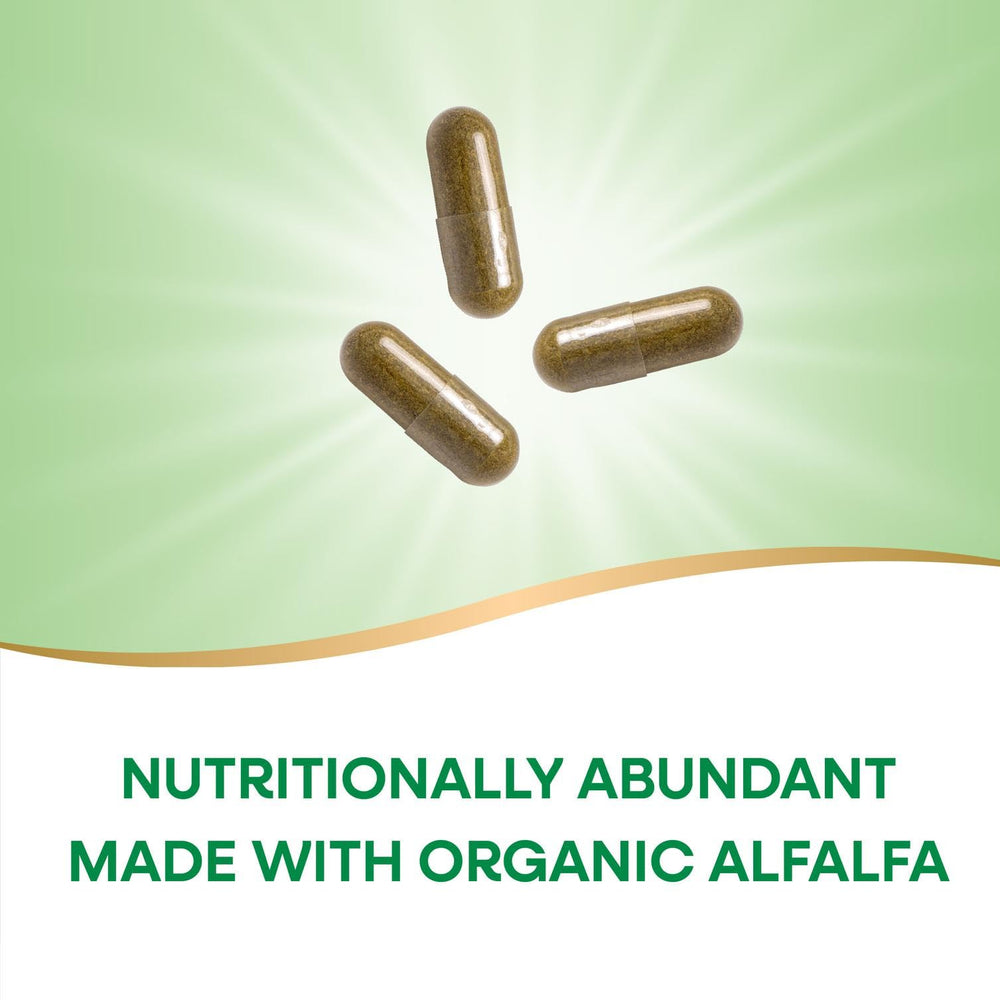 Nature's Way Alfalfa vegan capsules ready for everyday supplementation