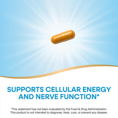 Nature's Way B-Stress ingredients blend emphasize B-vitamins and herbal support.