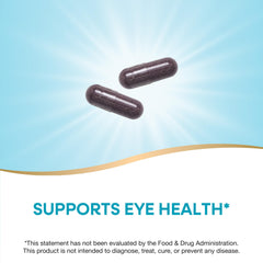 Nature's Way Bilberry Premium Extract capsules for daily eye health routine.