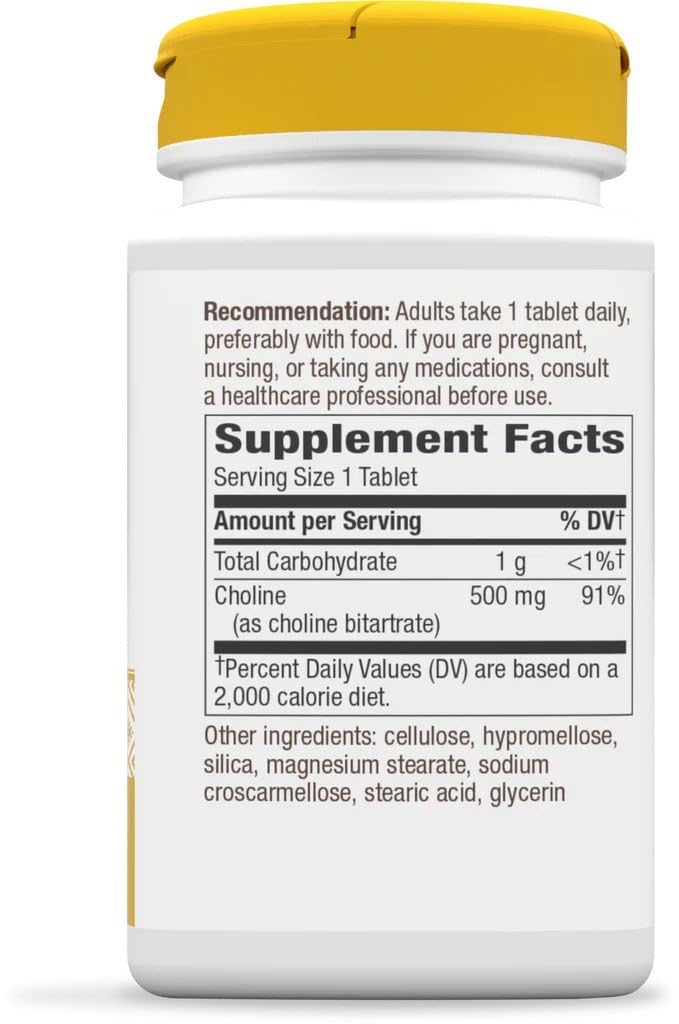 Nature's Way Choline 500 mg bottle side view, easy-to-swallow tablets.