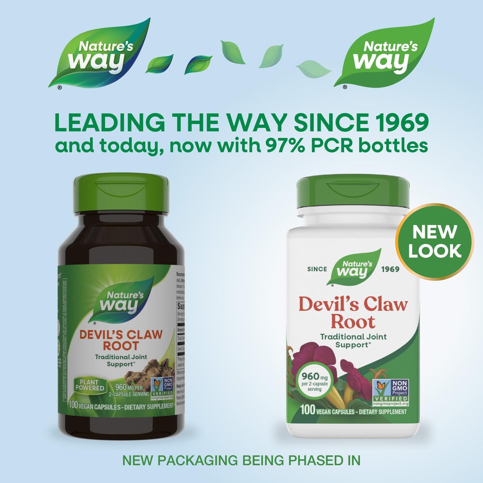 Nature's Way Devil's Claw Root capsules showing two-capsule serving size