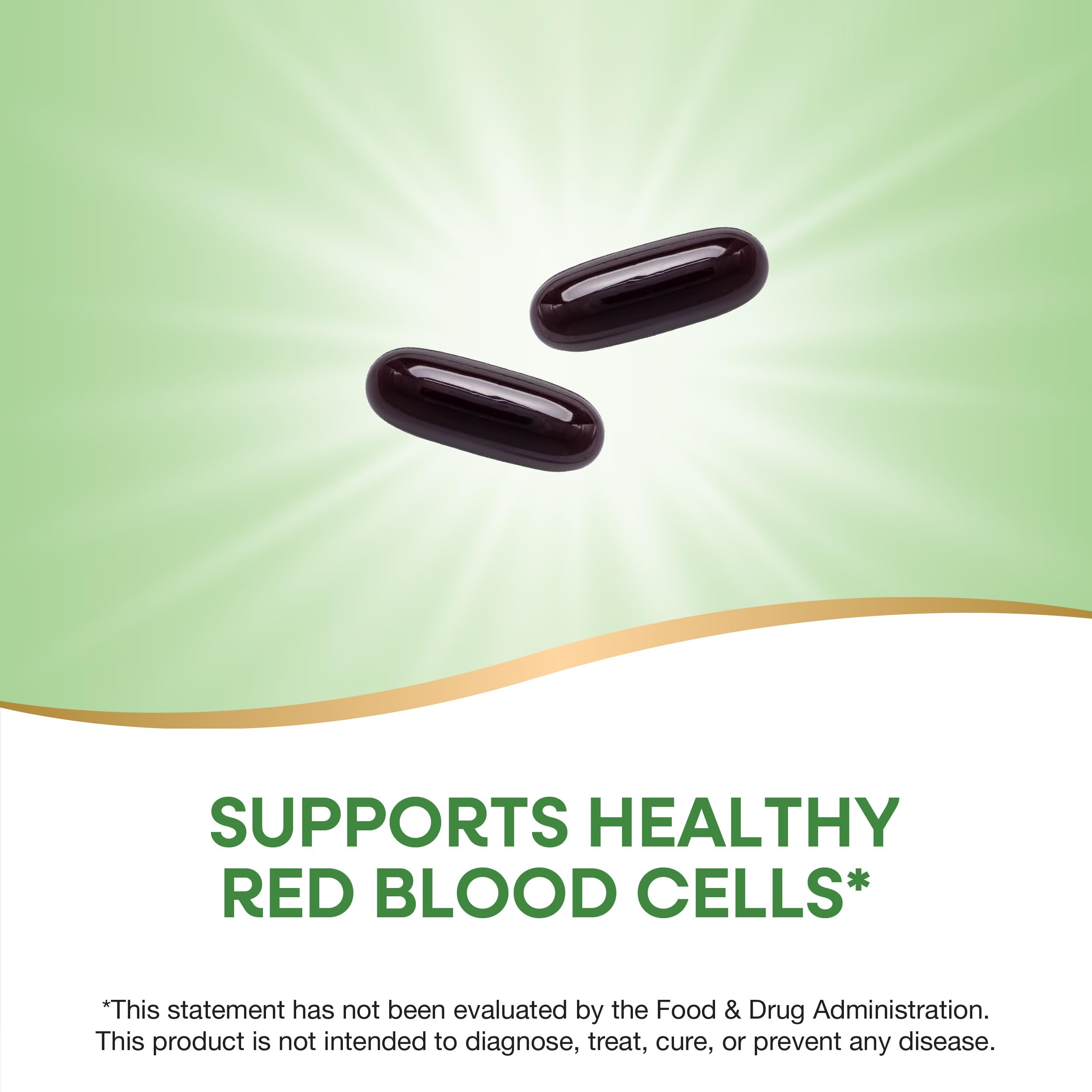 Nature's Way Energizing Iron ferrous bisglycinate panel explains gentle iron form