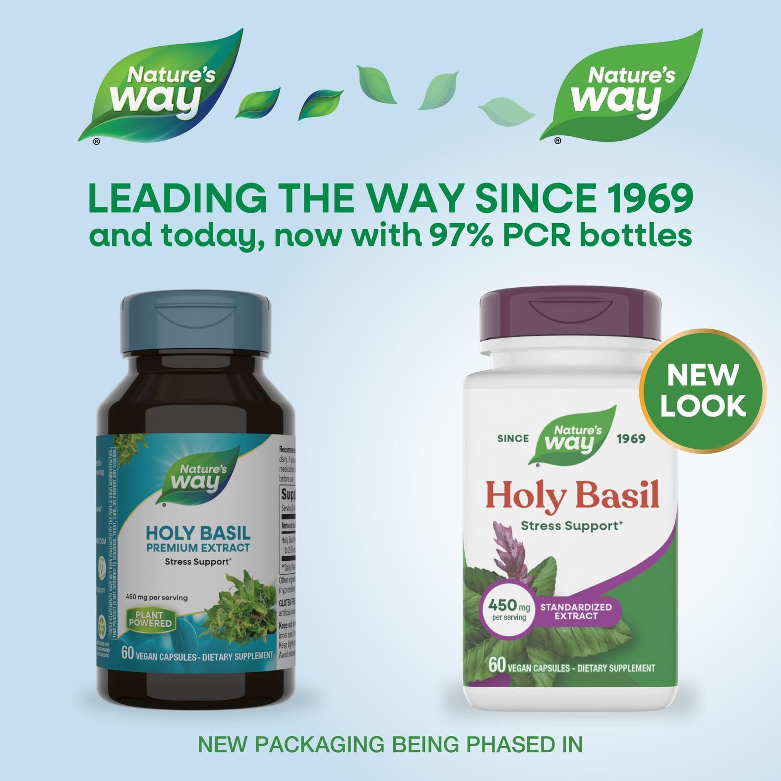 Pouring Holy Basil capsules for daily adaptogen routine
