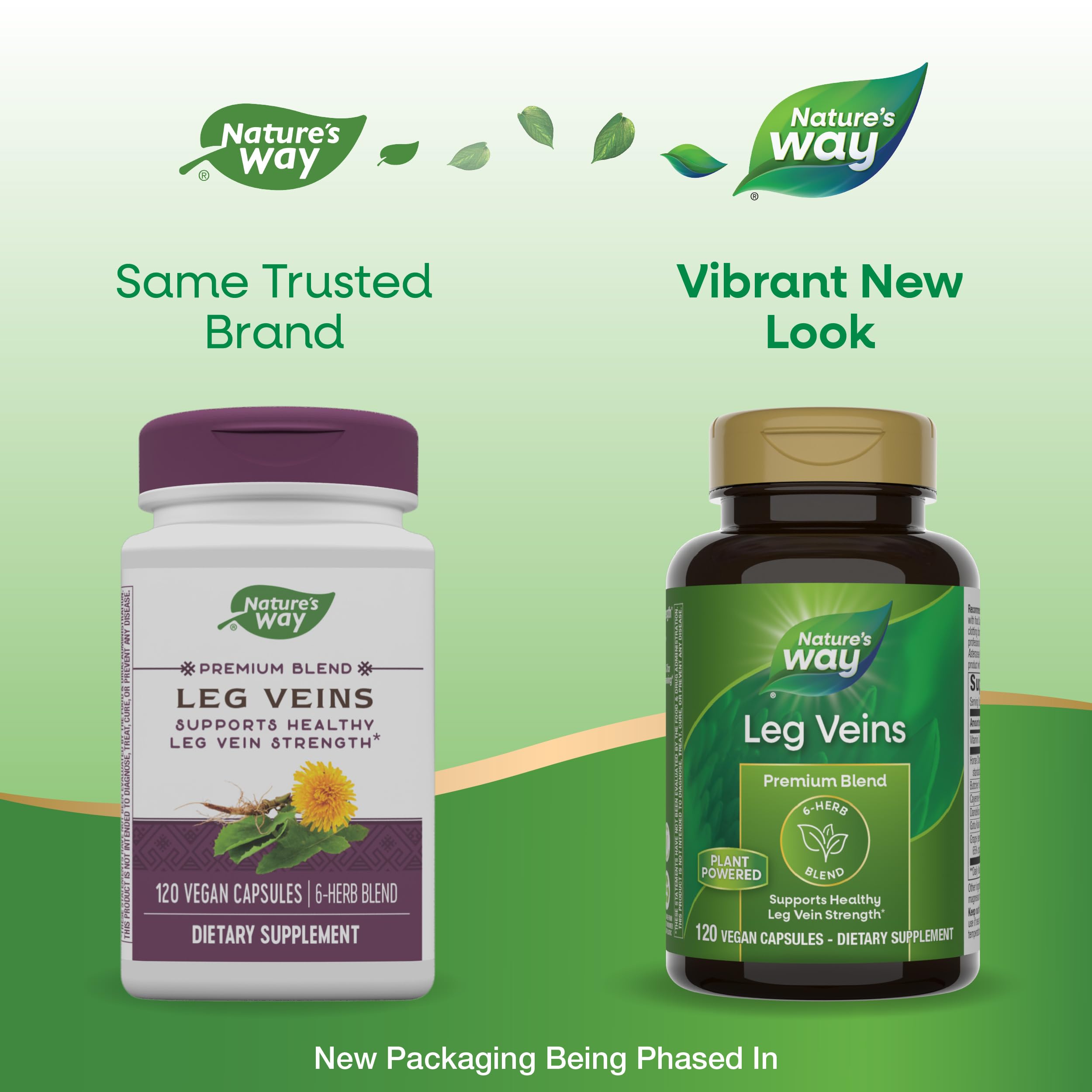 Horse chestnut extract visual in Nature's Way Leg Veins product.