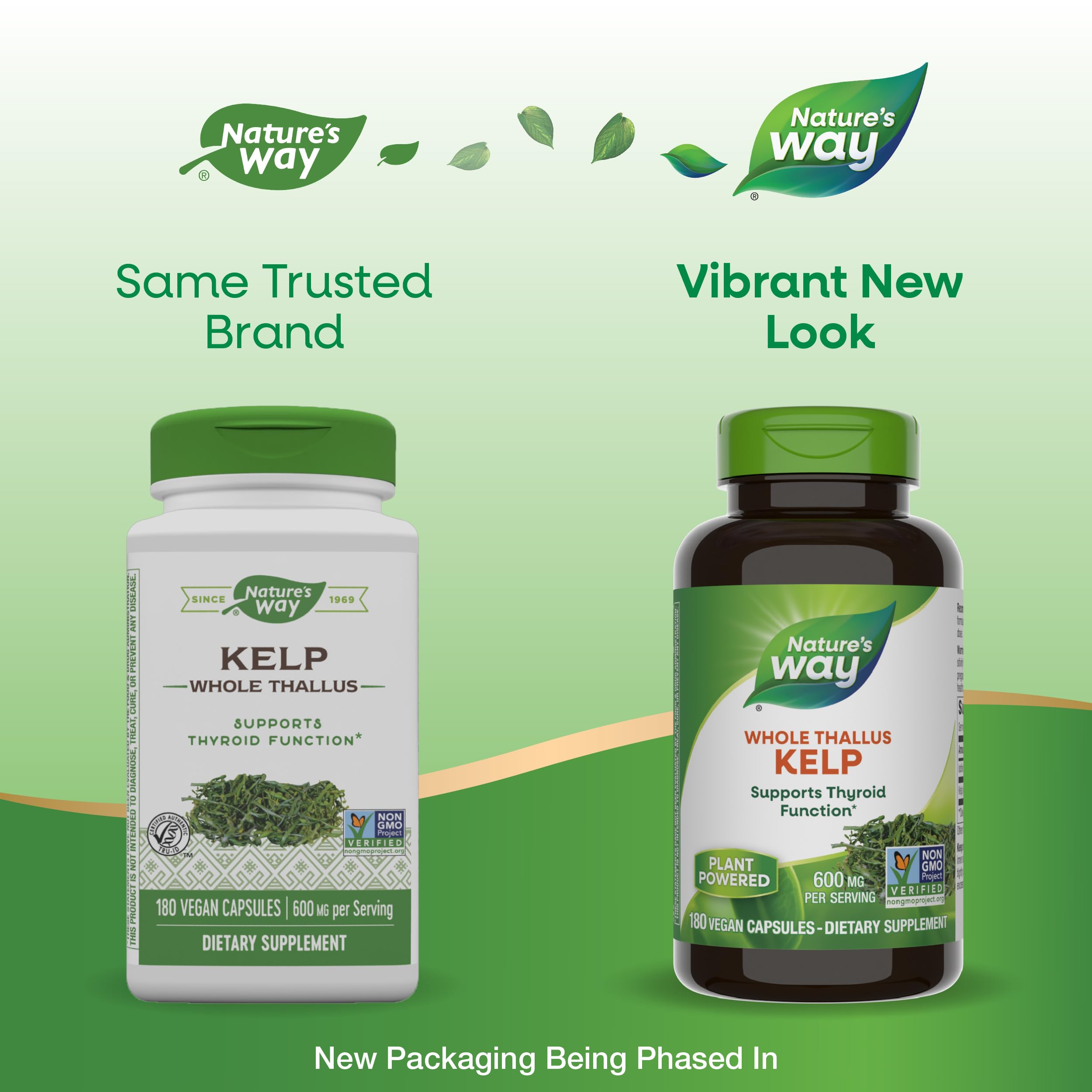 Nature's Way Kelp bottle with capsules ready for daily use.