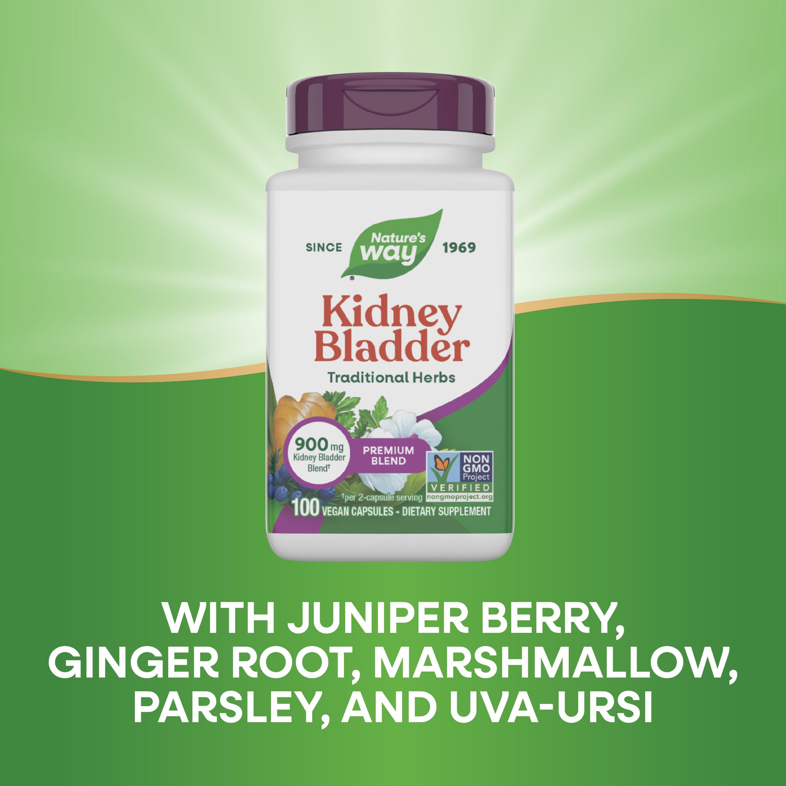 Nature's Way Kidney Bladder ginger root illustration highlights traditional herbs.
