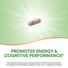 Nature's Way Rhodiola Premium Extract packaging variation with vegan and gluten-free badges.