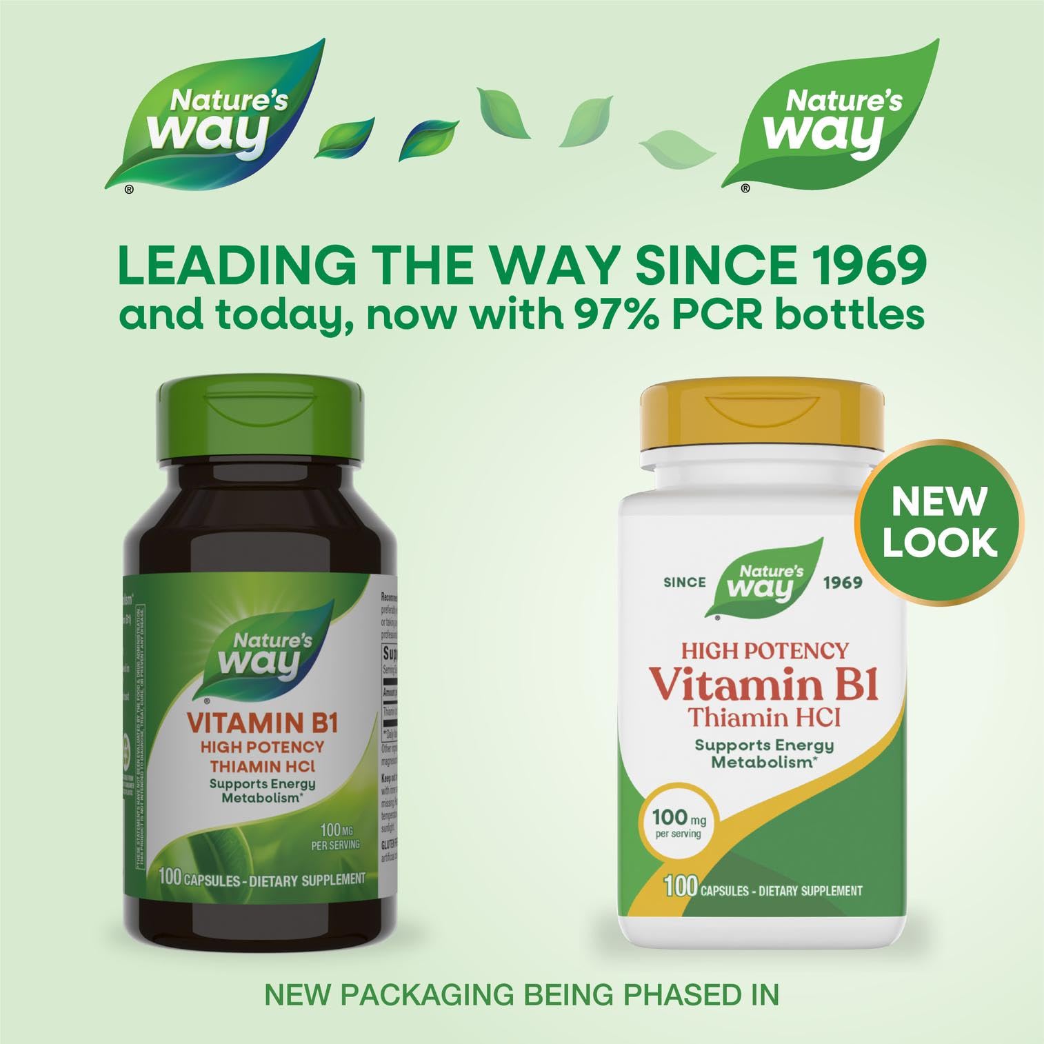 Nature's Way Vitamin B1 capsule closeup showing capsule shape and coating