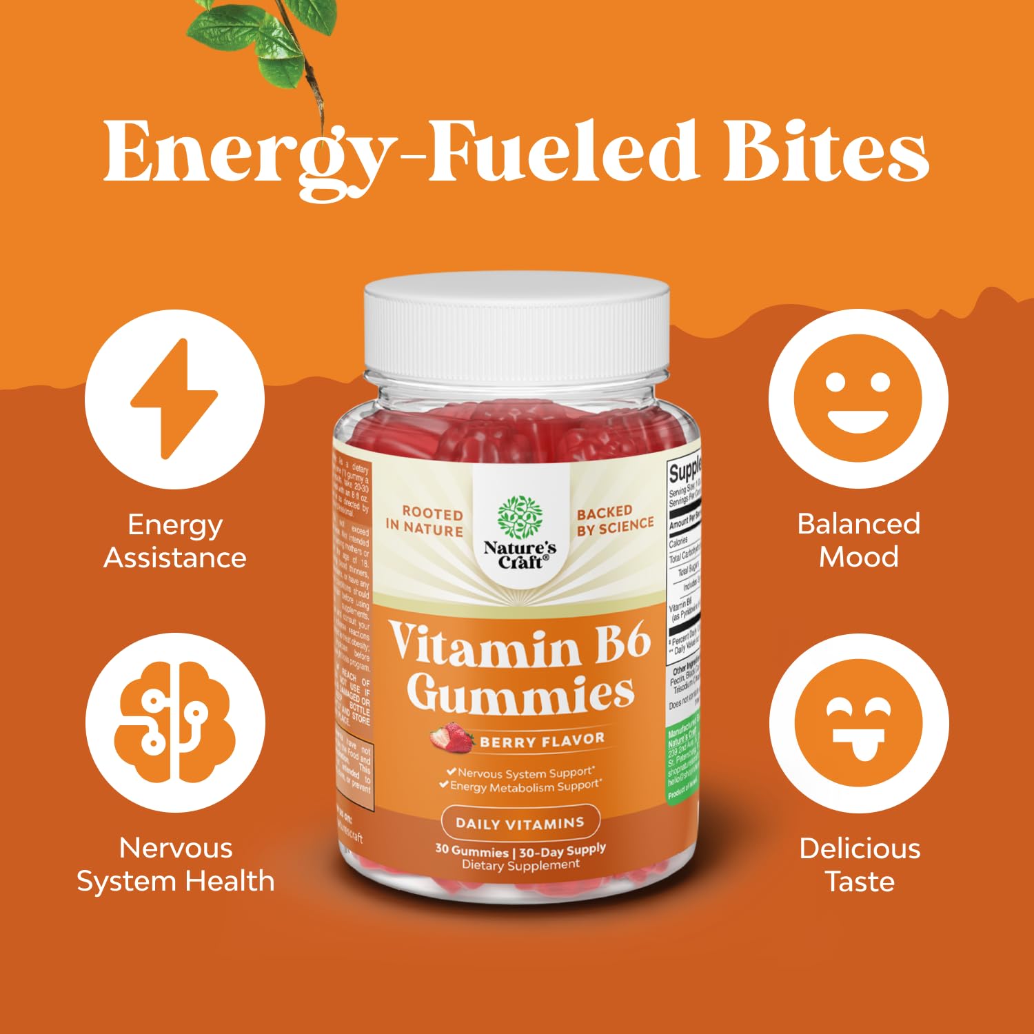 Natures Craft Vegan Vitamin B6 Gummies ingredients list emphasizes plant-based formula.