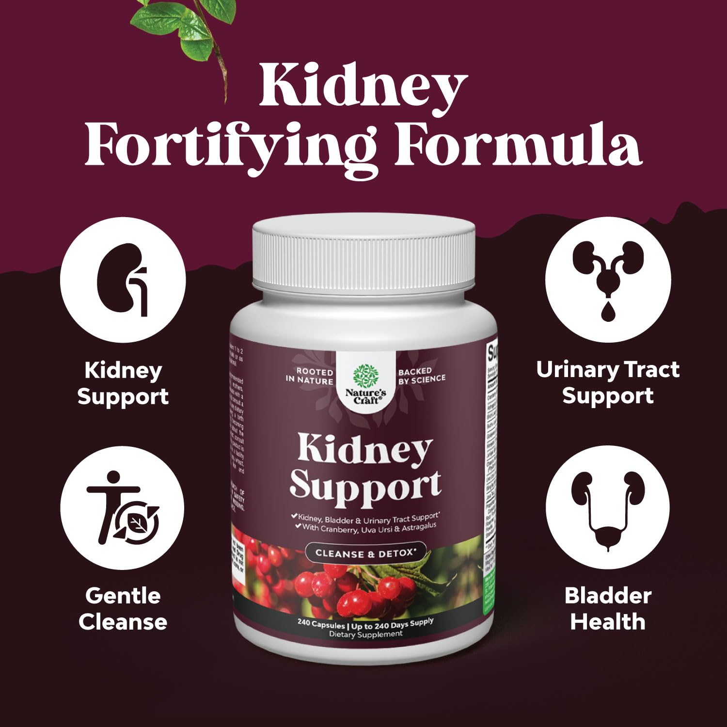 Natures Craft capsules for kidney health ready to support urinary balance