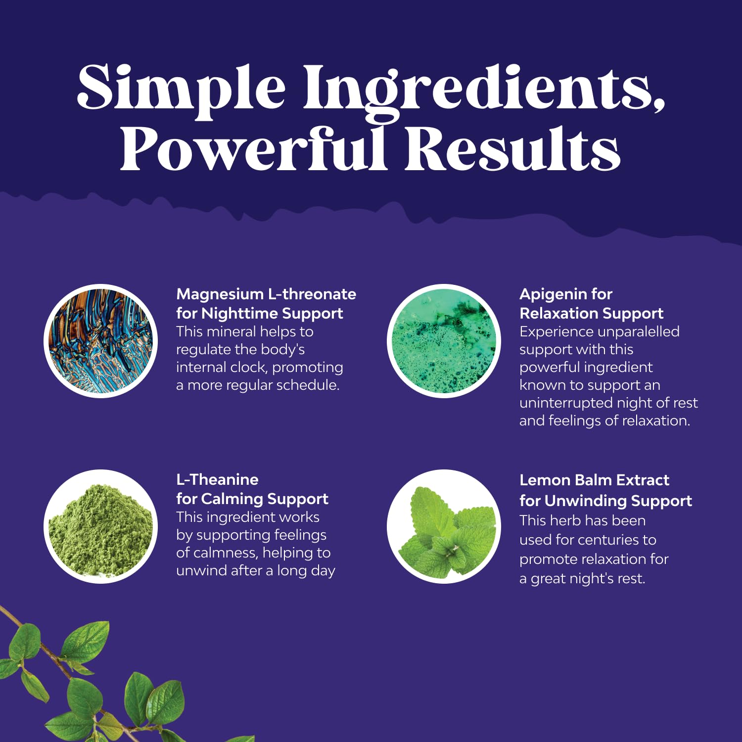 Nature's Craft Cognitive function support for memory and clarity