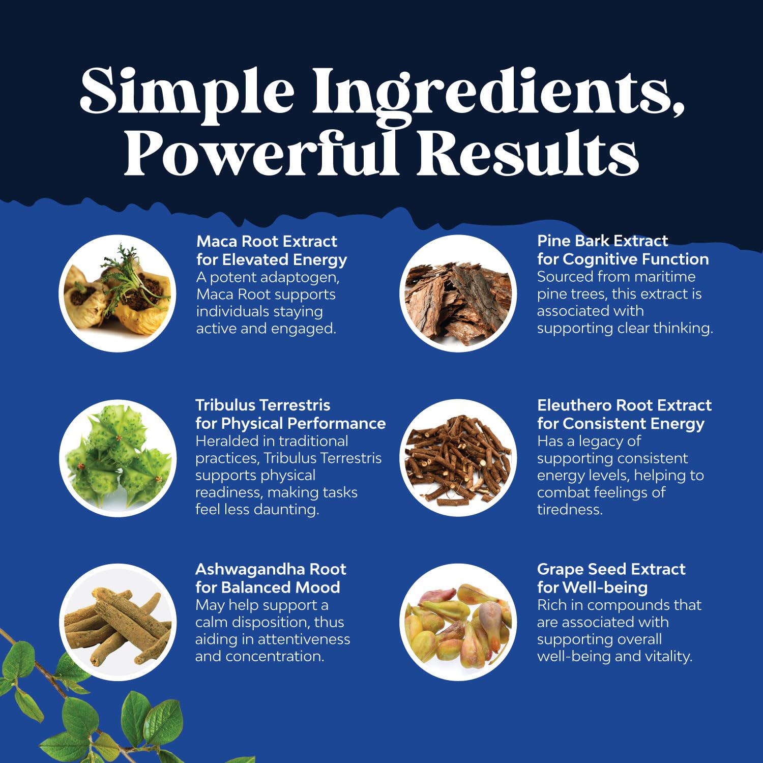 Nature's Craft eleuthero root image conveys Siberian ginseng vitality