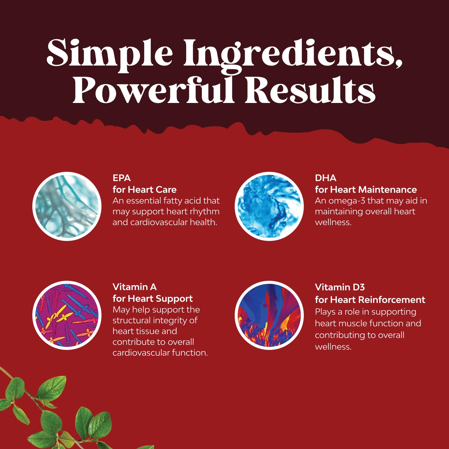Natures Craft heart-brain-joints benefits in capsules for everyday wellness