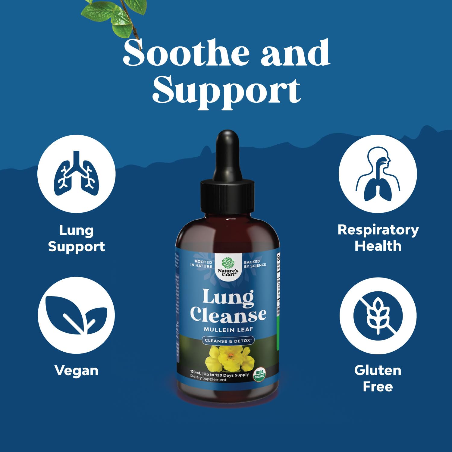 Natures Craft Mullein Drops bottle on desk ready for daily breathing care